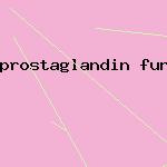 prostaglandin function